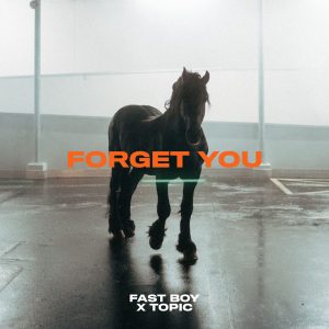 SuperNova: Fast Boy, Topic – Forget You (25.05)