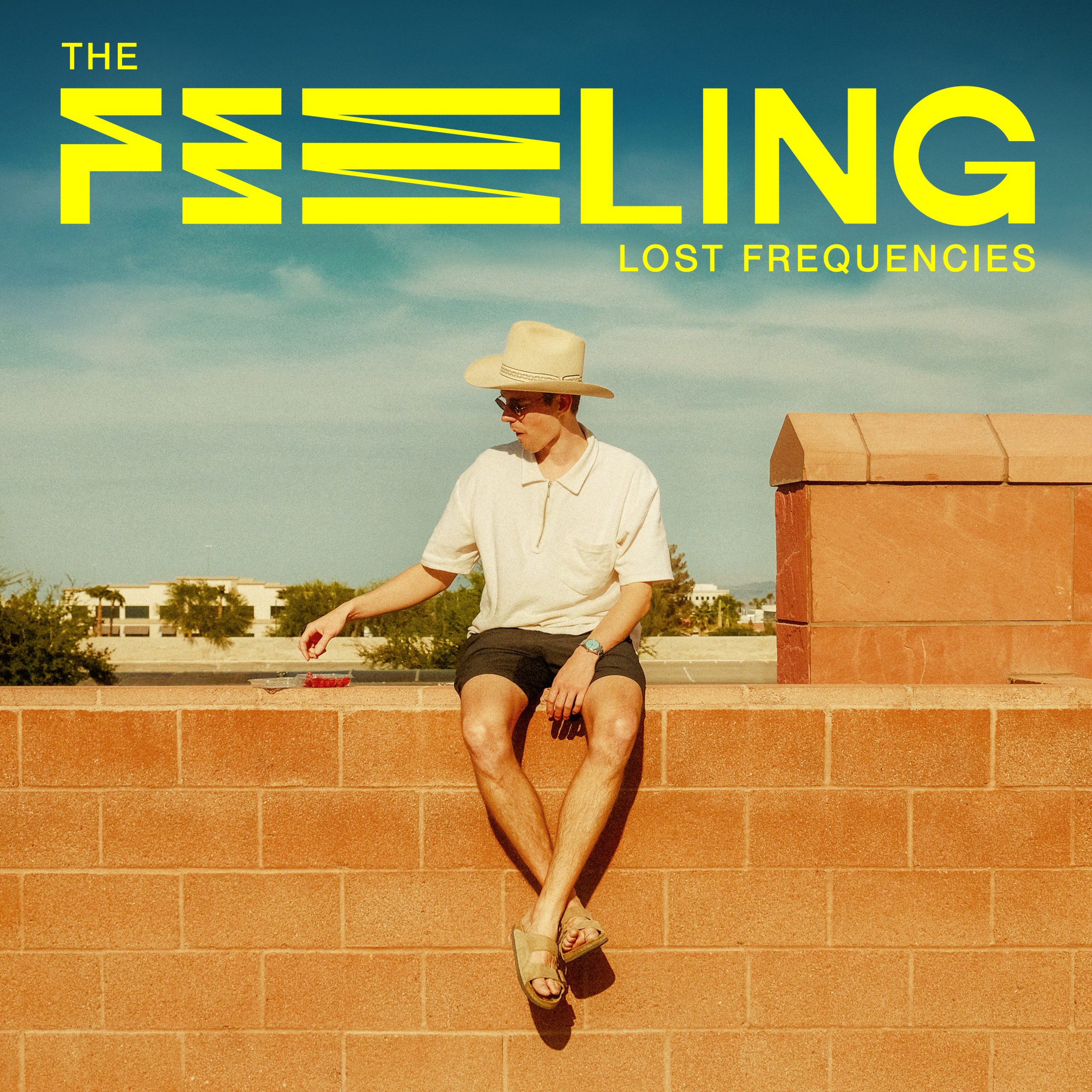 You are currently viewing SuperNova: Lost Frequencies  – The Feeling (20.06)
