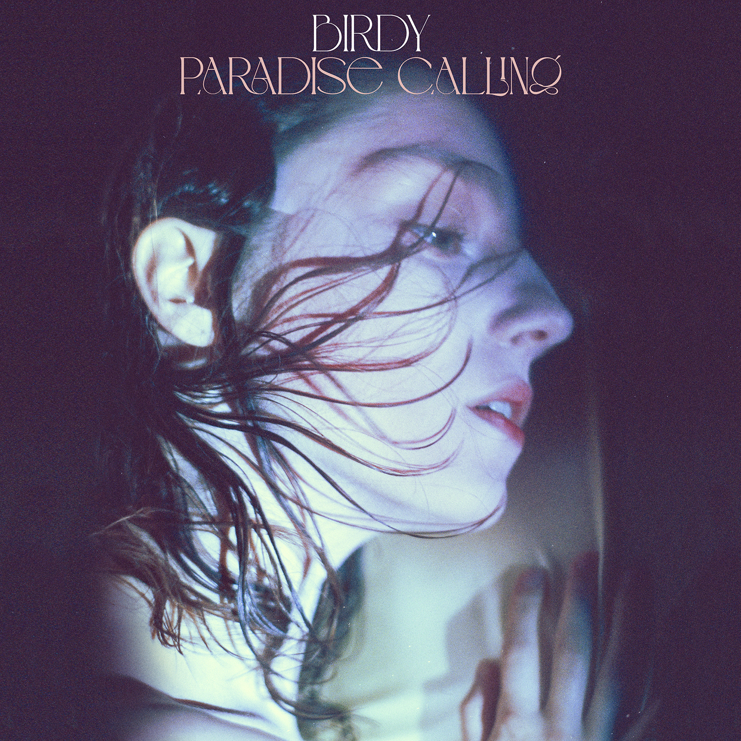 You are currently viewing SuperNova: Birdy – Paradise Calling (24.07)