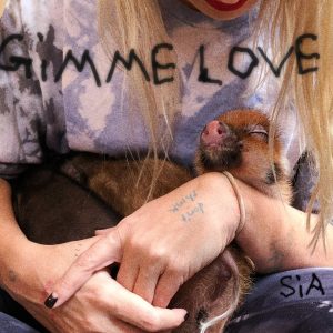 SuperNova: Sia – Gimme Love (21.09)